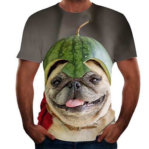 

Men's Graphic Animal T-shirt Basic Elegant Daily Going out Brown