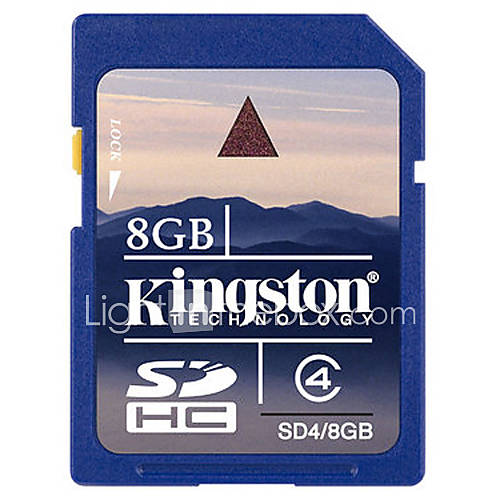 8GB Kingston SDHC Memory Card