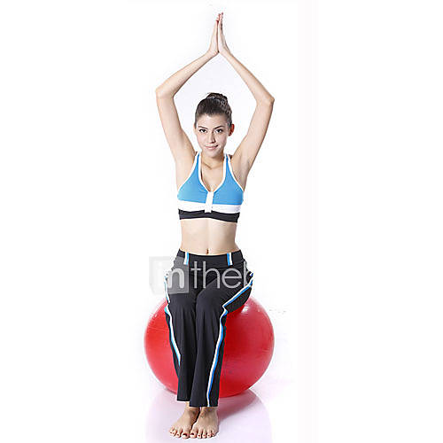 Copy To PVC Eco Friendly Yoga Ball with Free Pump