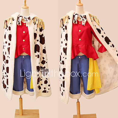 Two Years After Ver. Monkey D. Luffy Cosplay Costume