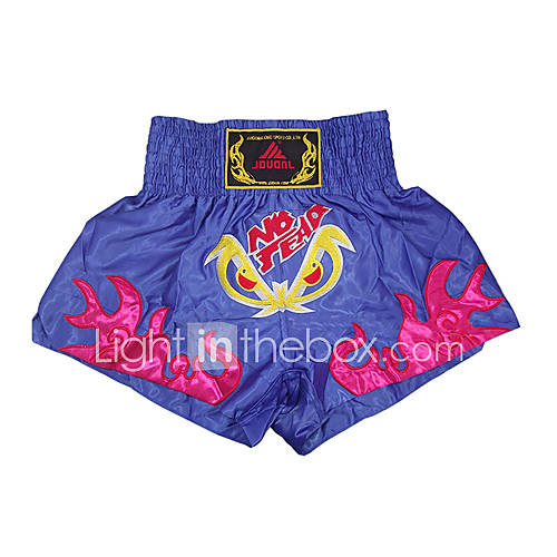 Kick Boxing Professional Embroidery Shorts Fire Pattern Blue (Average Size)