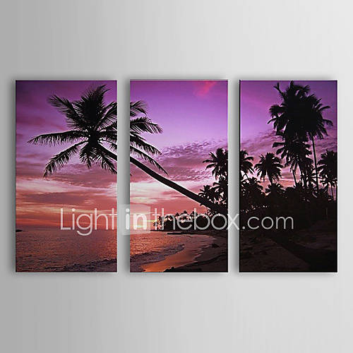 Hand Painted Oil Painting Landscape Tropical and Beach Set of 3 with Stretched Frame 1307 LS0102