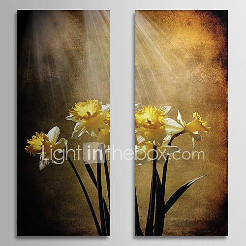 Hand Painted Oil Painting Floral Sunshine with Stretched Frame Set of 2 1309C FL0838