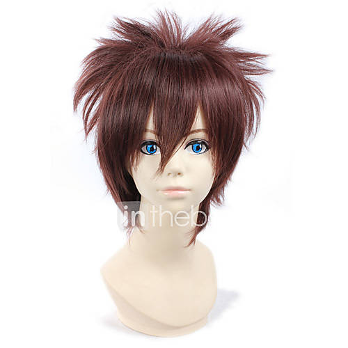 Reborn Shoichi Irie Cosplay Wig