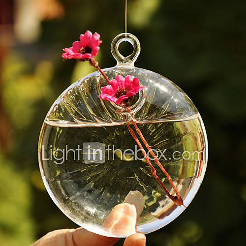 Flat Ball Shaped Hanging Glass Vase