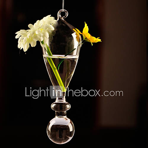 Hanging Glass Vase