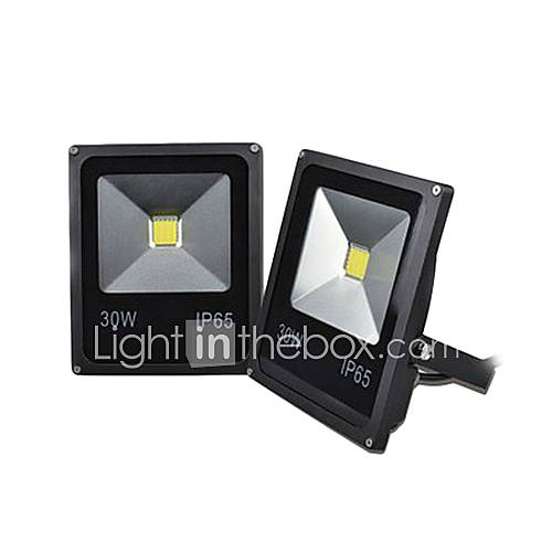 220V 30W LED warm white outdoor waterproof flood light