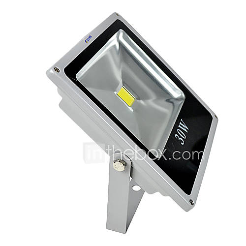 220V 30W LED warm white outdoor waterproof flood light