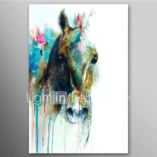 Hand Painted Oil Painting Animal Abstract Horse Head with Stretched Frame Ready to Hang