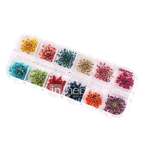 50PCS 12 Color Dry Flower Nail Art Decorations