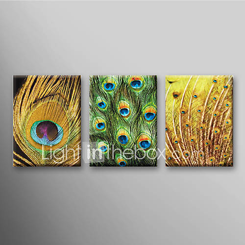 Hand Painted Oil Painting Animal Peacock Feather with Stretched Frame Set of 3 Ready to Hang