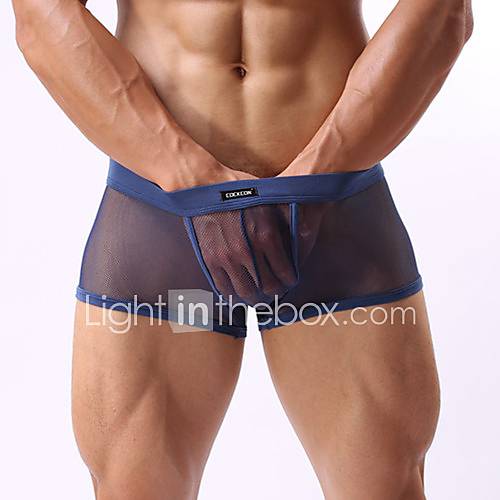 Mens Sheer Boxer Blue Panties