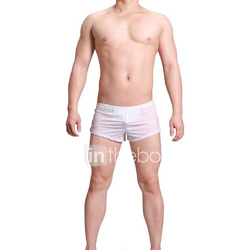 Mens Ice Silk Low Waist Briefs