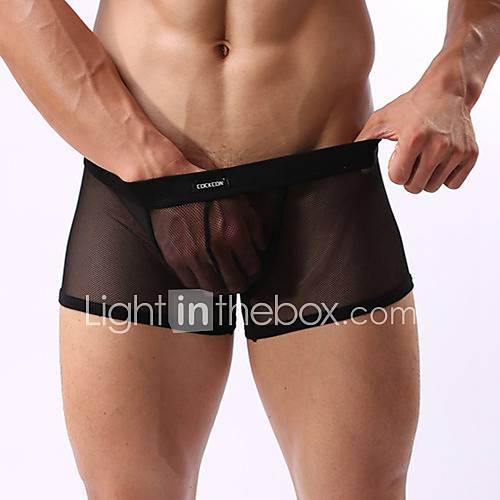 Mens Sheer Boxer Black Panties