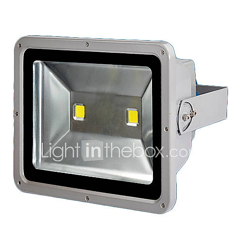 85 260V 100W LED warm white outdoor waterproof flood light