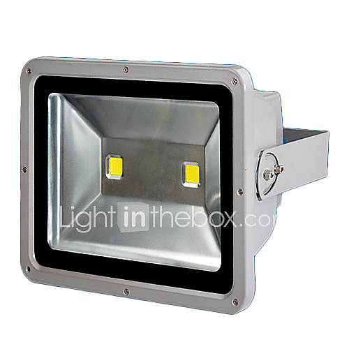 85 260V 100W LED white outdoor waterproof flood light