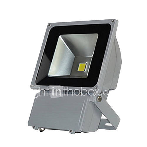 220V 70W LED warm white outdoor waterproof flood light