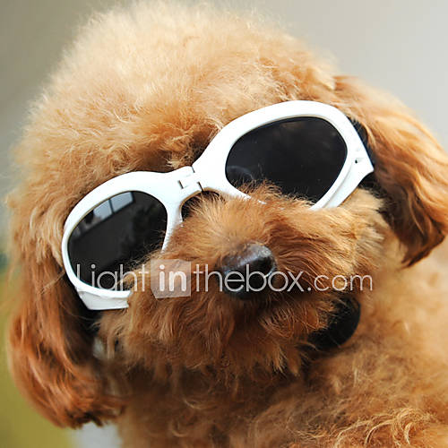 SEASONS Pets Fashion Sunglasses