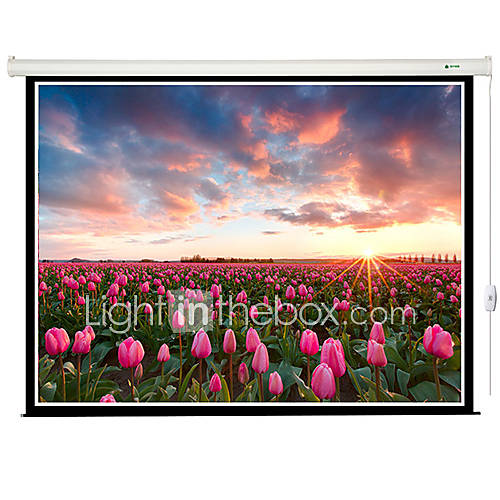 Greenleaf 75 Inch 43 Bead Curtain Motorized Electric Projection Screen