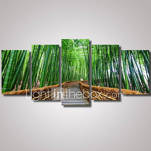 5 Panels Green Bamboo Landscape Picture Print Modern Wall Art on Canvas ...